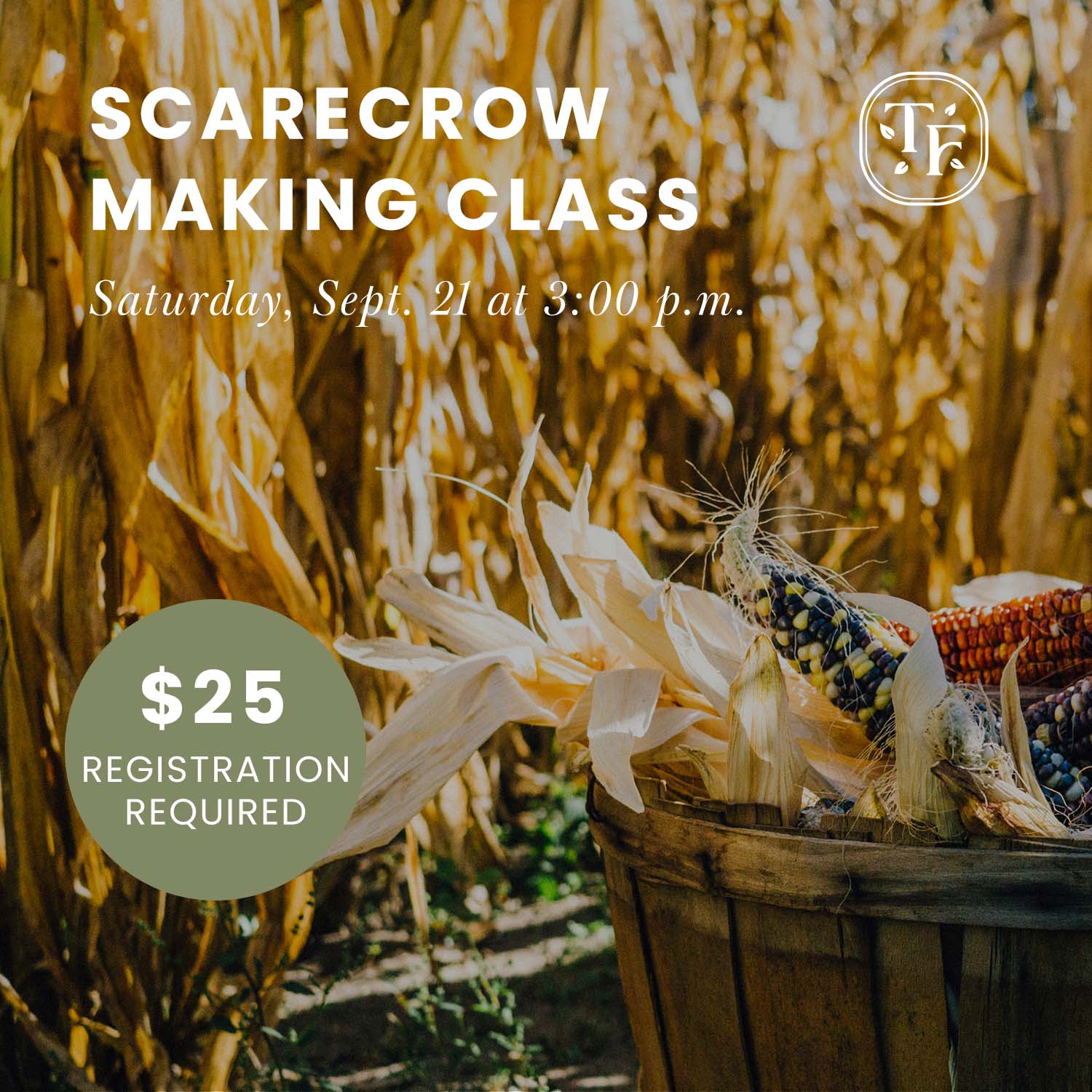 scarecrow making class infographic