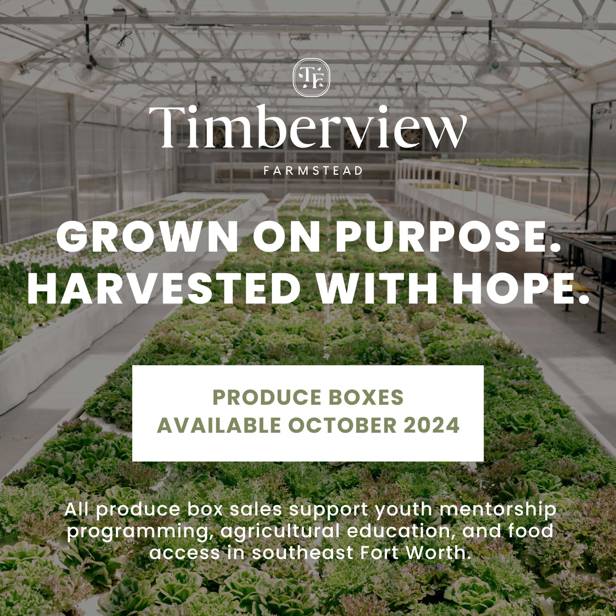 Produce Boxes launching October 2024