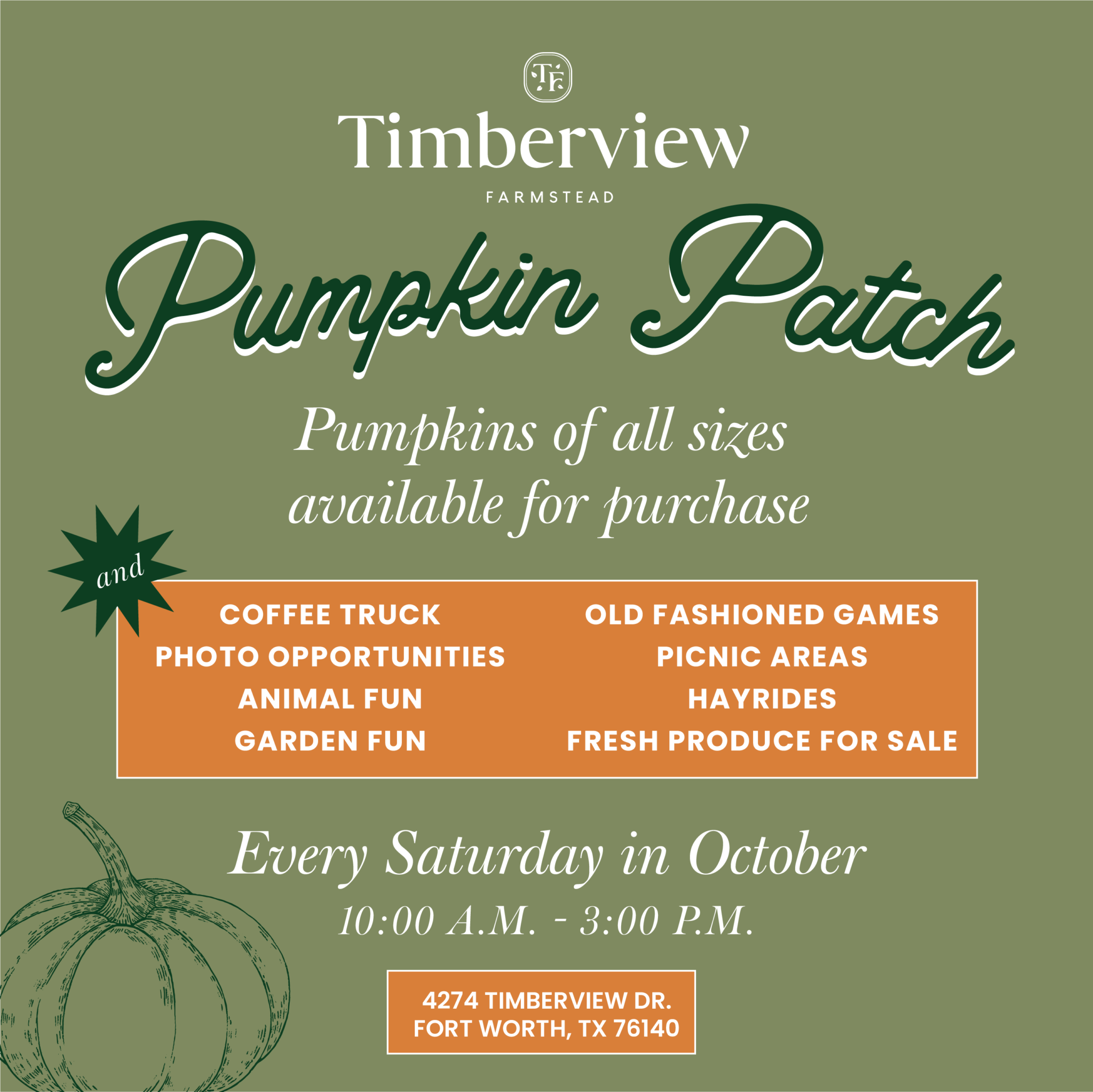 Timbeview Farmstead pumpkin patch, every saturday in october 2024, from 10 a.m. to 3 p.m.