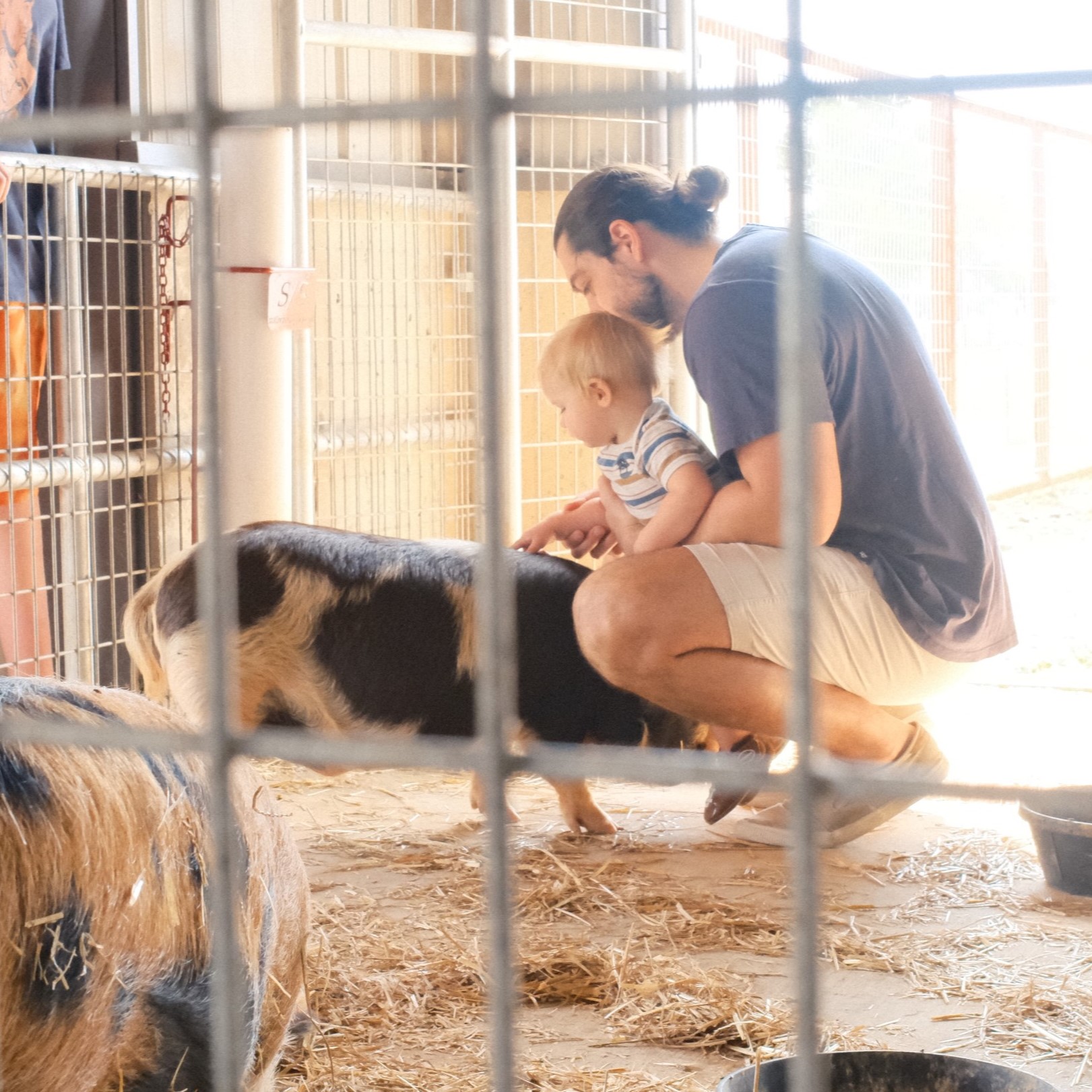 father and son petting pig