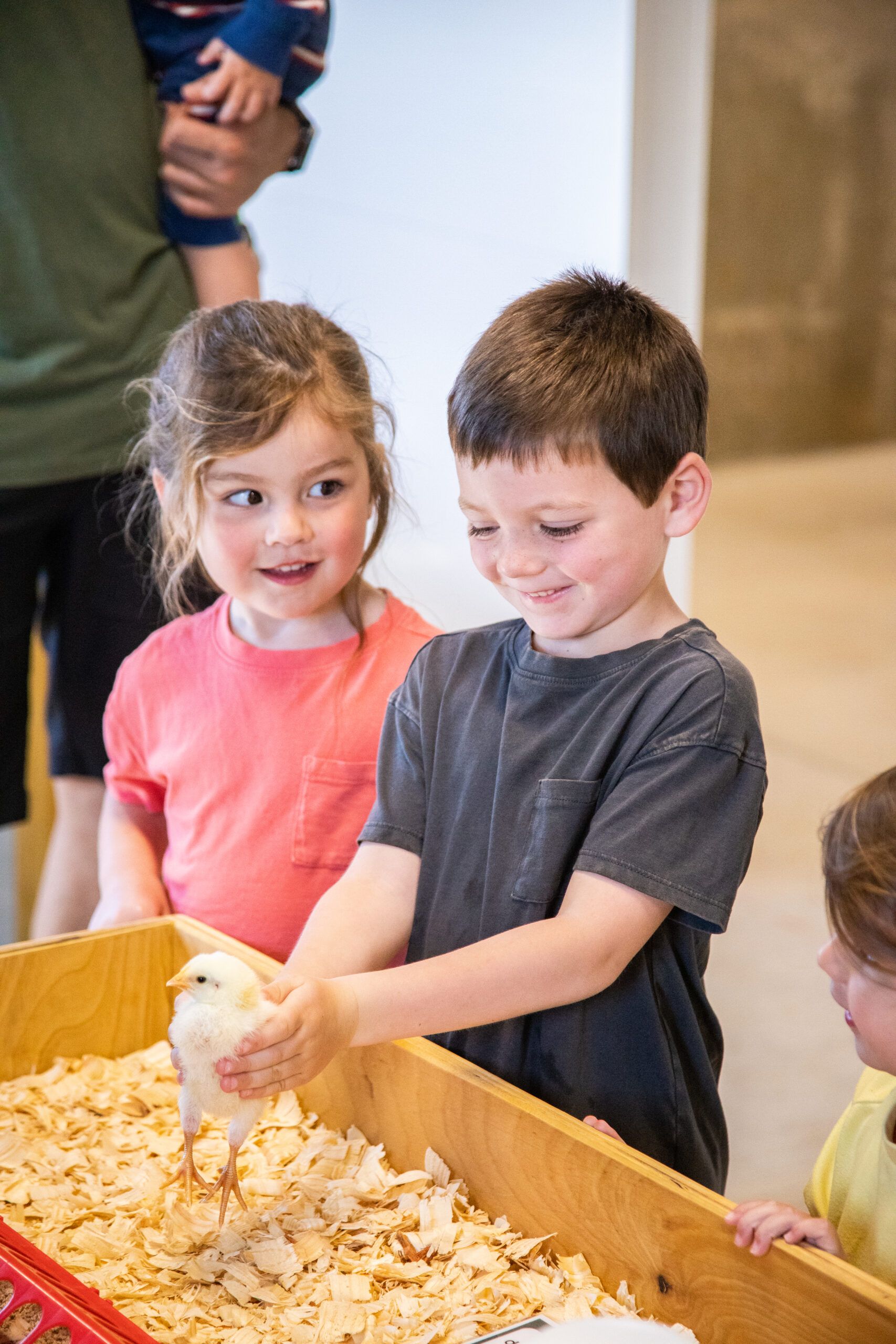 happy child holding chick