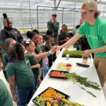 greenhouse samples to kids