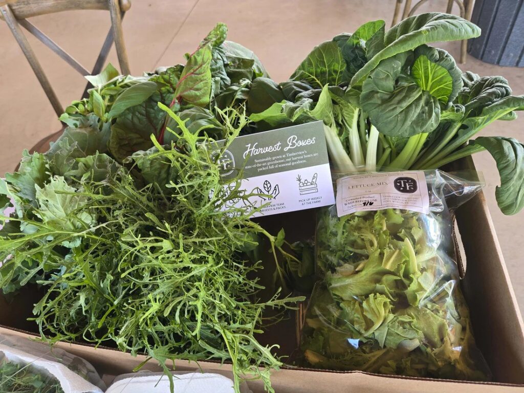 harvest box photo