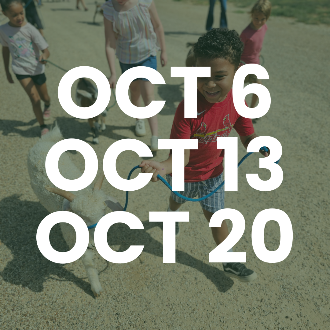 little farmers october dates